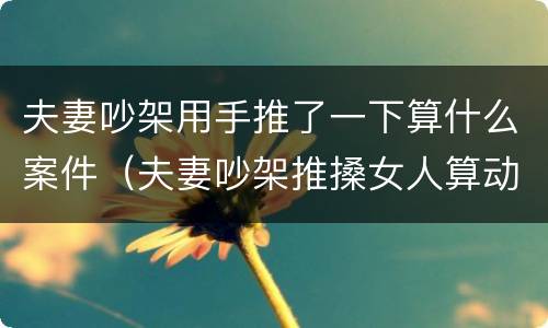 夫妻吵架用手推了一下算什么案件（夫妻吵架推搡女人算动手吗）