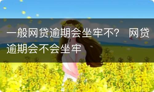 一般网贷逾期会坐牢不？ 网贷逾期会不会坐牢
