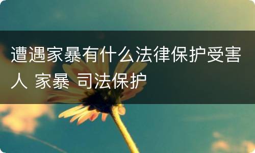 遭遇家暴有什么法律保护受害人 家暴 司法保护