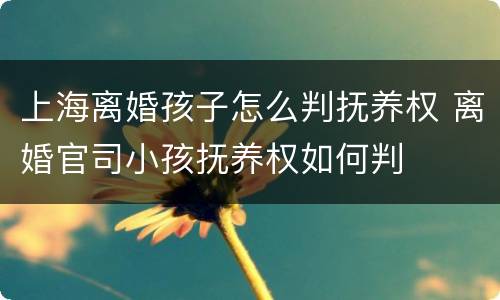 上海离婚孩子怎么判抚养权 离婚官司小孩抚养权如何判