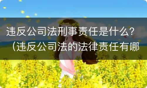 违反公司法刑事责任是什么？（违反公司法的法律责任有哪些）