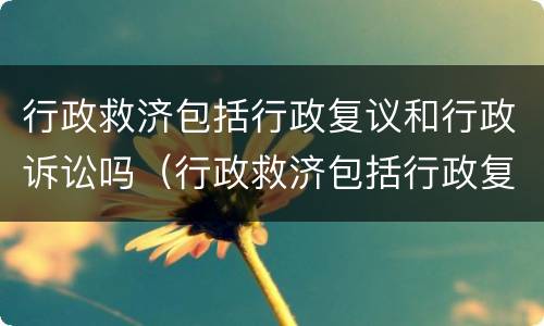 行政救济包括行政复议和行政诉讼吗（行政救济包括行政复议和行政诉讼吗对吗）