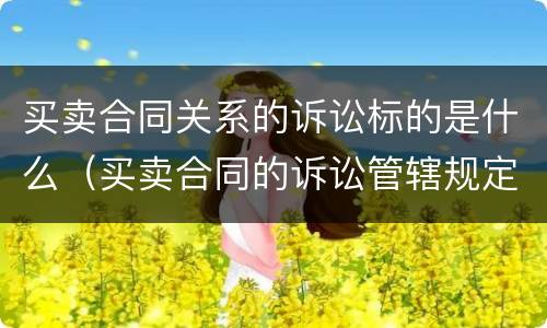 买卖合同关系的诉讼标的是什么（买卖合同的诉讼管辖规定）