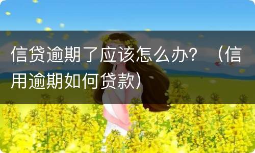 信贷逾期了应该怎么办？（信用逾期如何贷款）