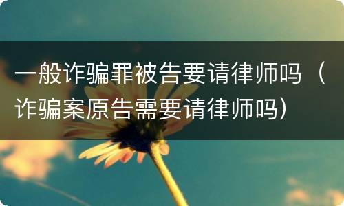 一般诈骗罪被告要请律师吗（诈骗案原告需要请律师吗）
