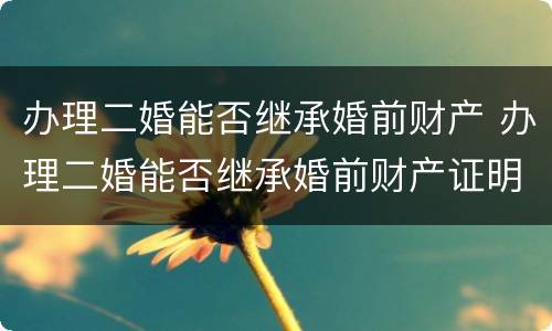 办理二婚能否继承婚前财产 办理二婚能否继承婚前财产证明