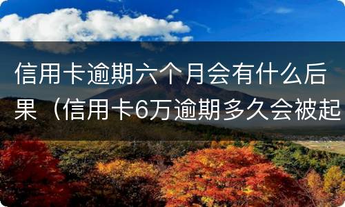 信用卡逾期六个月会有什么后果（信用卡6万逾期多久会被起诉）
