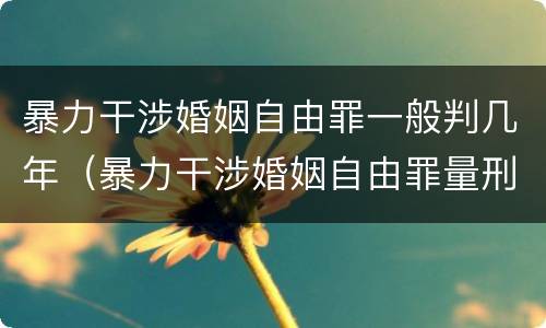 暴力干涉婚姻自由罪一般判几年（暴力干涉婚姻自由罪量刑）