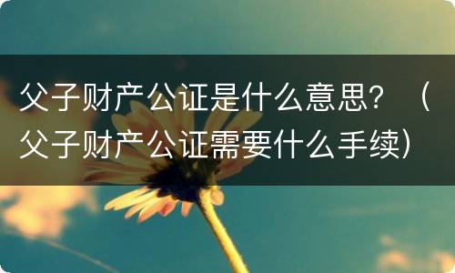 父子财产公证是什么意思？（父子财产公证需要什么手续）