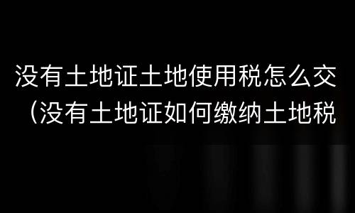 没有土地证土地使用税怎么交（没有土地证如何缴纳土地税）