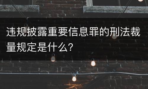 违规披露重要信息罪的刑法裁量规定是什么？