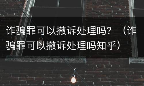 诈骗罪可以撤诉处理吗？（诈骗罪可以撤诉处理吗知乎）