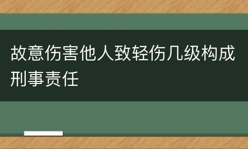 故意伤害他人致轻伤几级构成刑事责任