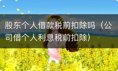 股东个人借款税前扣除吗（公司借个人利息税前扣除）