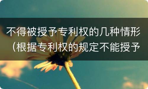 不得被授予专利权的几种情形（根据专利权的规定不能授予专利权的有什么）