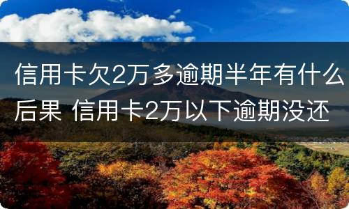 信用卡欠2万多逾期半年有什么后果 信用卡2万以下逾期没还什么后果
