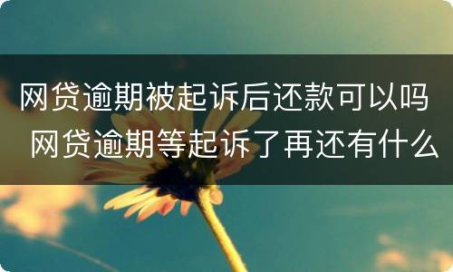 网贷逾期被起诉后还款可以吗 网贷逾期等起诉了再还有什么后果