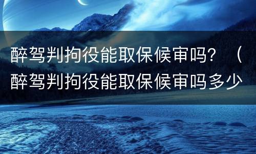 醉驾判拘役能取保候审吗？（醉驾判拘役能取保候审吗多少钱）