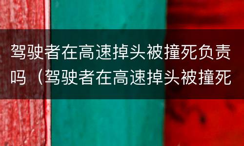 驾驶者在高速掉头被撞死负责吗（驾驶者在高速掉头被撞死负责吗）