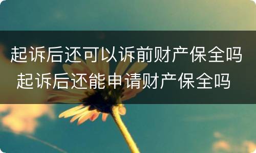 起诉后还可以诉前财产保全吗 起诉后还能申请财产保全吗