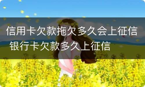 信用卡欠款拖欠多久会上征信 银行卡欠款多久上征信