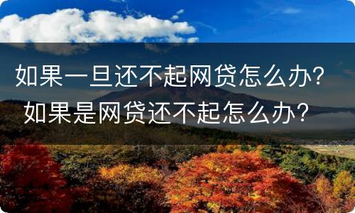如果一旦还不起网贷怎么办？ 如果是网贷还不起怎么办?