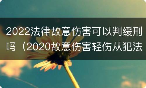 2022法律故意伤害可以判缓刑吗（2020故意伤害轻伤从犯法院可以免除刑罚吗）