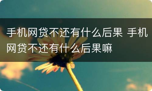 手机网贷不还有什么后果 手机网贷不还有什么后果嘛