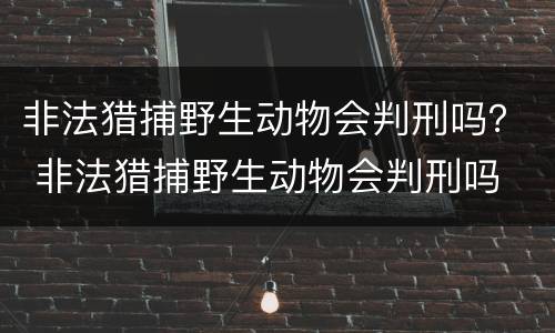 非法猎捕野生动物会判刑吗？ 非法猎捕野生动物会判刑吗