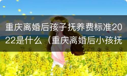 重庆离婚后孩子抚养费标准2022是什么（重庆离婚后小孩抚养费标准）