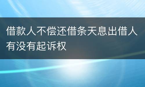 借款人不偿还借条天息出借人有没有起诉权
