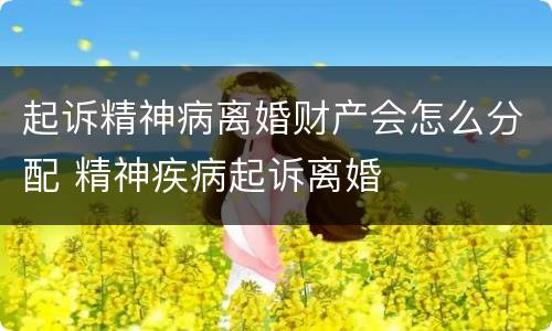 起诉精神病离婚财产会怎么分配 精神疾病起诉离婚
