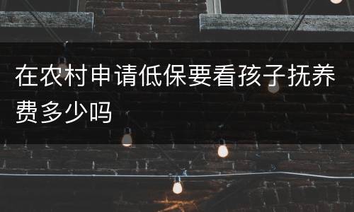在农村申请低保要看孩子抚养费多少吗
