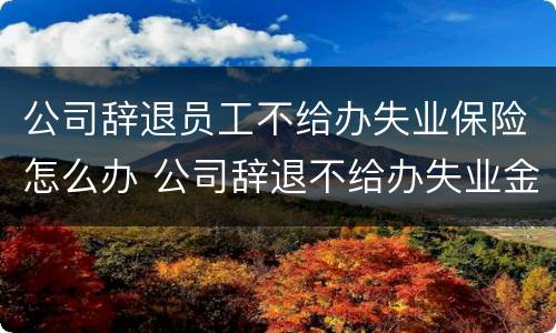公司辞退员工不给办失业保险怎么办 公司辞退不给办失业金怎么办