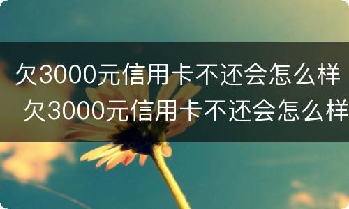 欠3000元信用卡不还会怎么样 欠3000元信用卡不还会怎么样吗