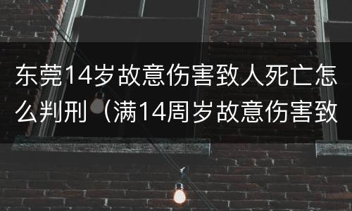 东莞14岁故意伤害致人死亡怎么判刑（满14周岁故意伤害致死）