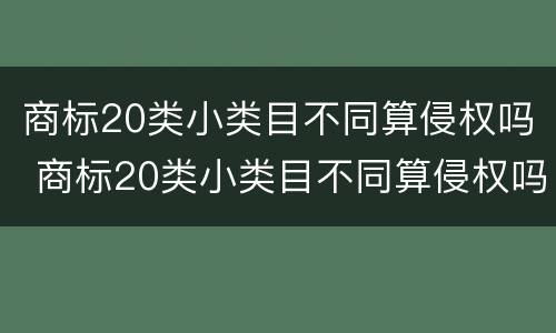 商标20类小类目不同算侵权吗 商标20类小类目不同算侵权吗为什么