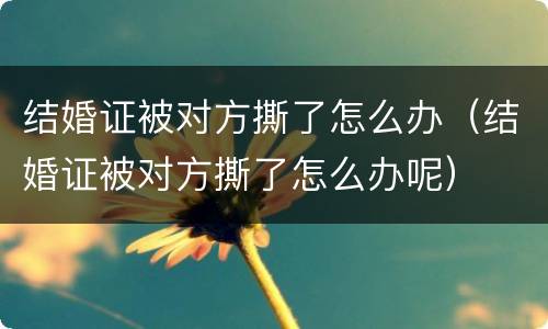 结婚证被对方撕了怎么办（结婚证被对方撕了怎么办呢）
