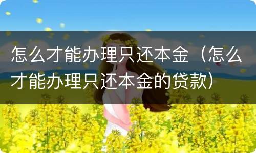 怎么才能办理只还本金（怎么才能办理只还本金的贷款）