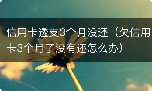 信用卡透支3个月没还（欠信用卡3个月了没有还怎么办）