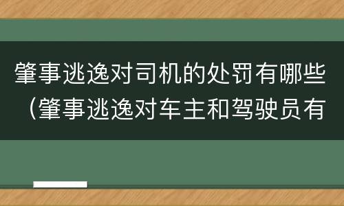 肇事逃逸对司机的处罚有哪些（肇事逃逸对车主和驾驶员有什么惩罚）