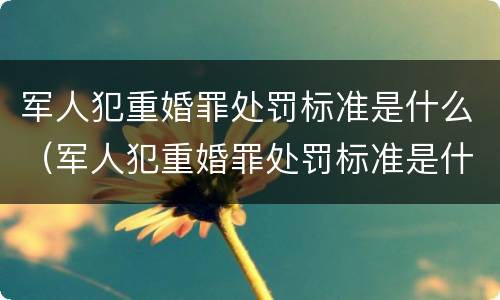 军人犯重婚罪处罚标准是什么（军人犯重婚罪处罚标准是什么呢）
