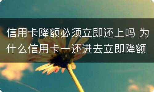 信用卡降额必须立即还上吗 为什么信用卡一还进去立即降额