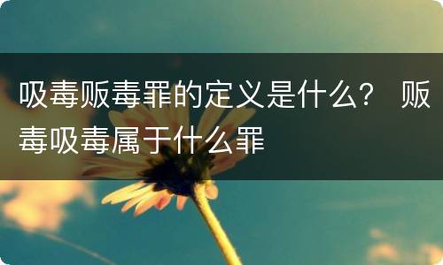 吸毒贩毒罪的定义是什么？ 贩毒吸毒属于什么罪