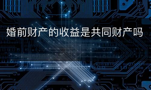 婚前财产的收益是共同财产吗