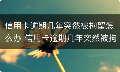 信用卡逾期几年突然被拘留怎么办 信用卡逾期几年突然被拘留怎么办呢
