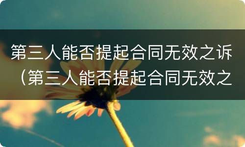 第三人能否提起合同无效之诉（第三人能否提起合同无效之诉诉讼）