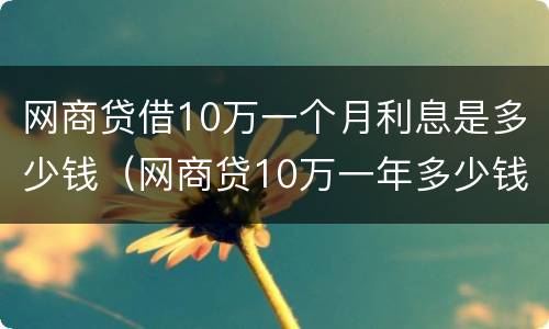 网商贷借10万一个月利息是多少钱（网商贷10万一年多少钱）