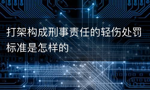 打架构成刑事责任的轻伤处罚标准是怎样的