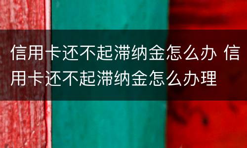 信用卡还不起滞纳金怎么办 信用卡还不起滞纳金怎么办理